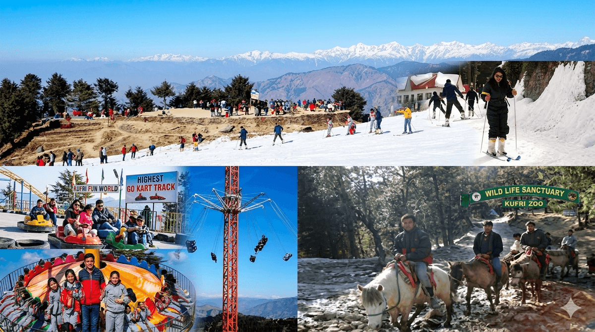 Shimla & Kufri Sightseeing